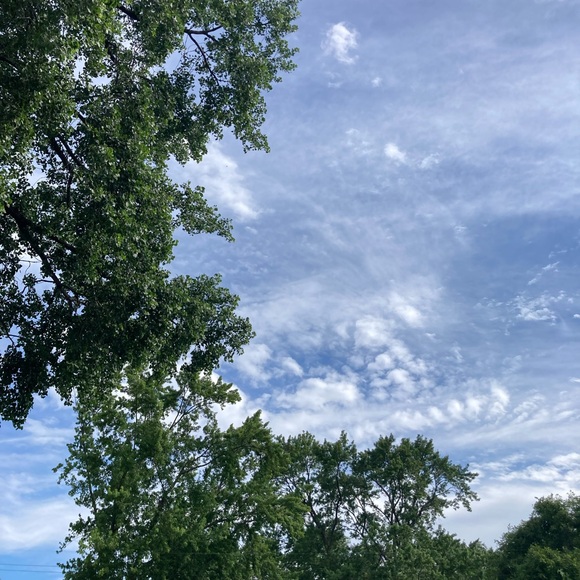 Meet your Posher, Erika - Picture 1 of 1